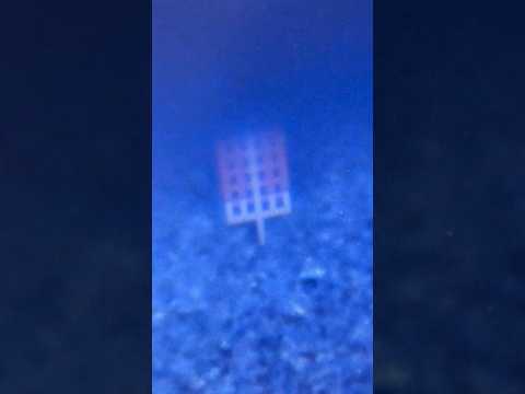 Sandpaper vs atomic force microscope